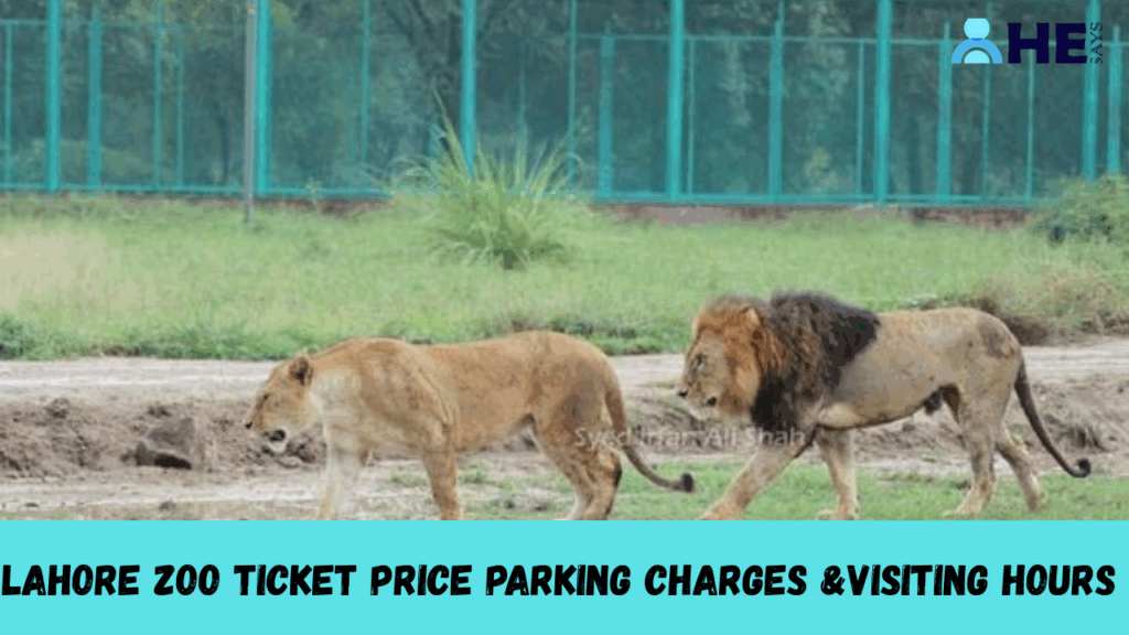 Lahore Zoo Ticket Price Parking Charges & Visiting Hours