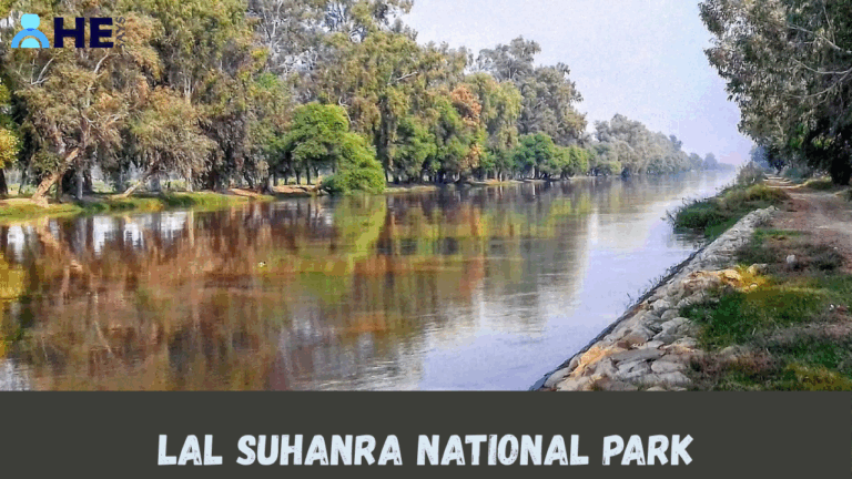 Lal Suhanra National Park