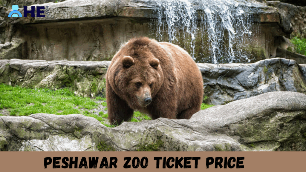 Peshawar Zoo Ticket Price